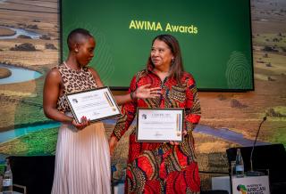 AWIMA Awards