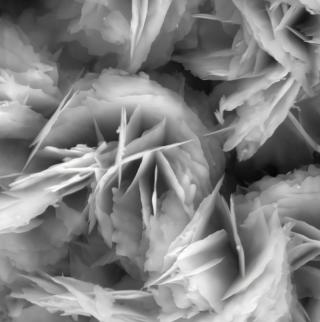 ZnO through a microscope