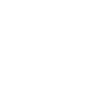 Icon Competetive Advantage