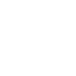 Icon Group Loupe