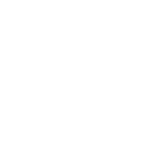 Icon Growth Opportunities