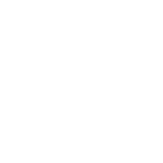 Icon Network