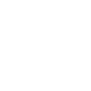 Icon Partner
