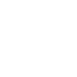 Icon: Aerospace & Defence