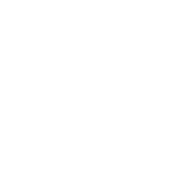 Icon: Digital