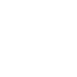 Icon: Energy Intensive Industries