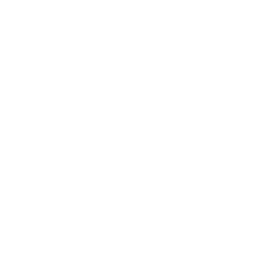 Icon: Health
