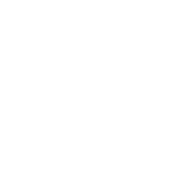 Icon: Mobility