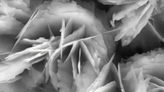 ZnO through a microscope