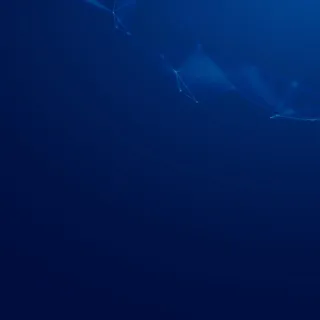 ReSourceEU Webinar.png